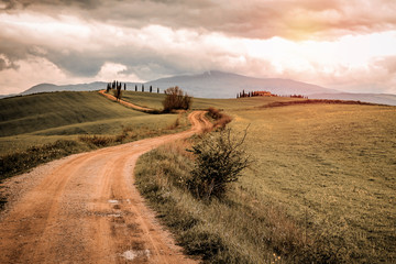 Canvas Print - Mood fall photo of Tuscany and free space for your decoration 