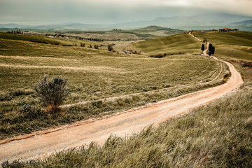 Canvas Print - Mood fall photo of Tuscany and free space for your decoration 