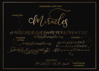 Wall Mural - Hand drawn vector alphabet font font with letters, numbers, symbols alternates and ligatures. For calligraphy, lettering, hand made quotes.