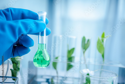 Fotomural Scientist hand holding chemical flask with liquid
