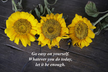 Inspirational Words With Yellow Sun Flowers - Go Easy On Yourself. Whatever You Do Today, Let It Be Enough. Three Beautiful Sunflowers Blossom Decoration On The Rustic Wooden Table Background.