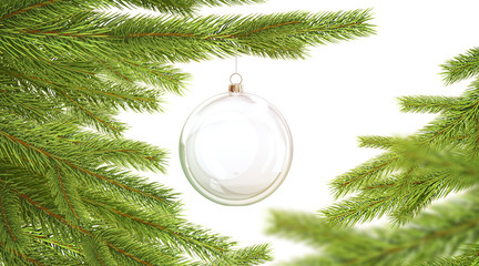 Blank glass christmas ball hanging on pine branch mockup