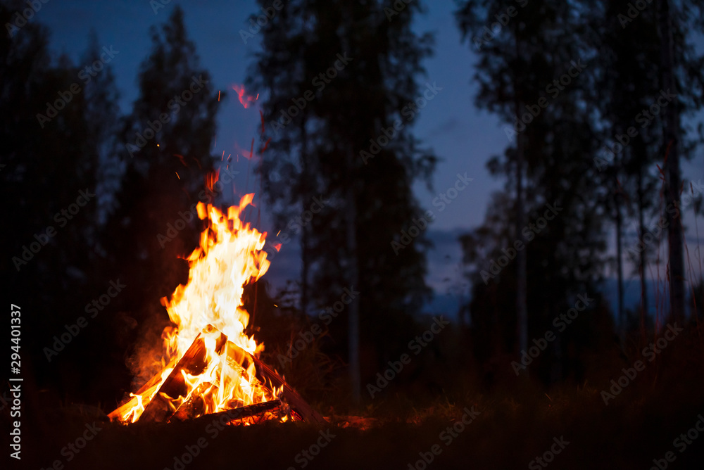 Burning campfire on a dark night in a forest Stock Photo | Adobe Stock