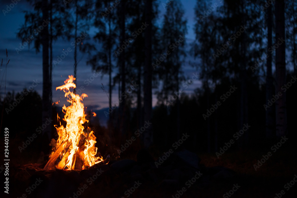 Burning campfire on a dark night in a forest. Twilight sky and trees in the background. - obrazy, fototapety, plakaty 