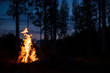 Burning campfire on a dark night in a forest. Twilight sky and trees in the background.
