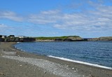 Fototapeta Morze - coastline landscape in the town of Bonavista, Bonavista Peninsula Newfoundland and Labrador, Canada 