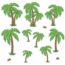 Coconut Palm Tree. Set Of Tropic Landscape. Element For Logo, Game, Print, Poster Or Other Design Project. Vector Illustration.