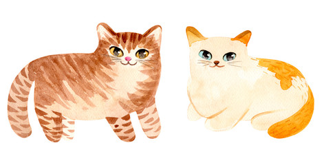 Watercolor cute cat. Hand painted Illustration isolated on white background.