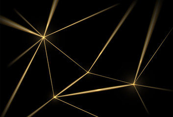 Fototapete - gold and black background. luxury texture geometric line pattern. futuristic light network, graphic 