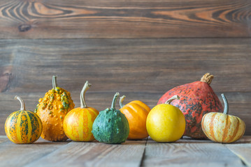 Wall Mural - Ornamental pumpkins