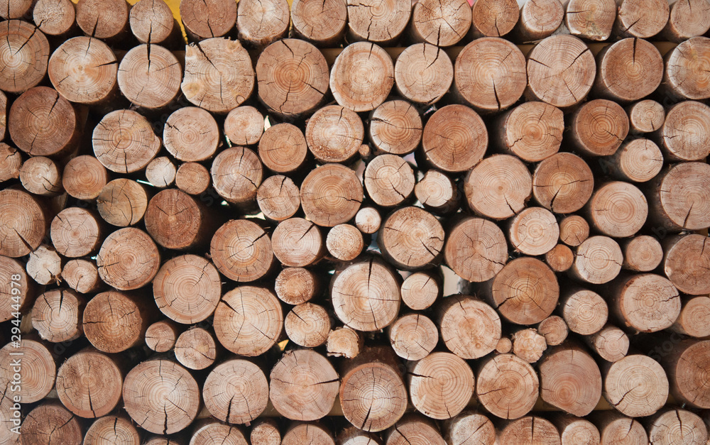 Pile of wood logs stumps for winter - obrazy, fototapety, plakaty 