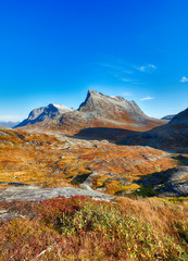Wall Mural - landscape of beautiful autumn in mountains
