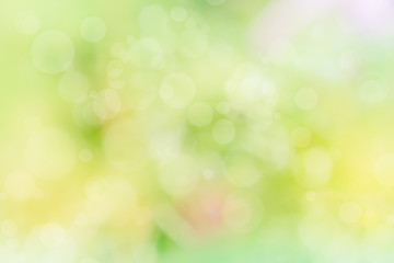 Wall Mural - Abstract defocused nature background with colorful bokeh