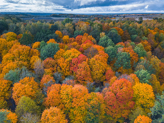 Aerial Drone view of colorful top of the forest at Autumn