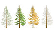 Larch in four seasons. Maple in winter, spring, summer, autumn.    The tree changes its appearance with the change of season. In the fall, larch needles fall.
