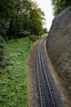 Narrow Train Tracks In A Park In Fall With Green And Yellow Leaves, Some Leaves Fallen On The Ground