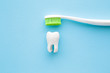 White tooth and toothbrush with green bristles on pastel blue background. People teeth hygiene. Closeup.