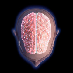 Wall Mural - Top View of Human Head and Brain with Network Nodes on Black Background