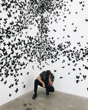 Man Near Butterfly Artwork On Wall