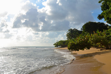 Wall Mural - Beach at Little Corn Island in Niceragua