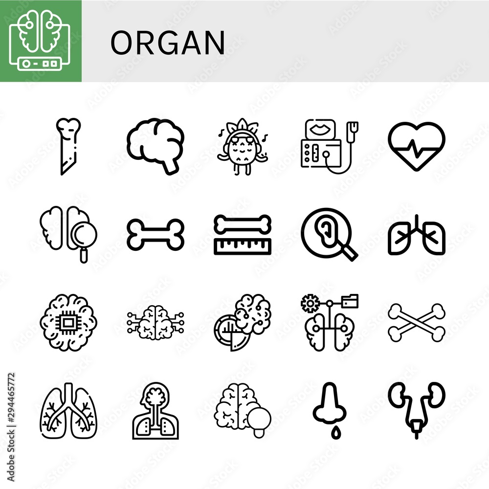 Set of organ icons such as Brain, Bone, Listening, Sonography ...