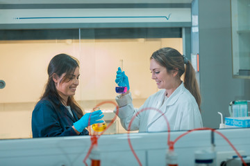 Wall Mural - two young female scientist doing experiments in laboratory.