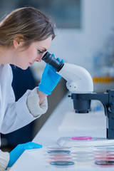 Wall Mural - young scientist looking through a microscope in a laboratory. young scientist doing some research.