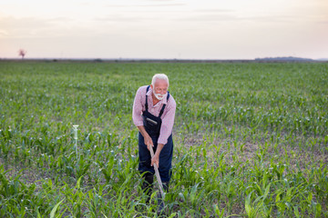 Sticker - Farmer hoeing corn field