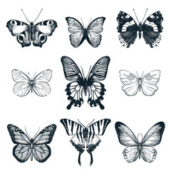 Wall Mural - Butterflies set. Vector sketch illustration. Creative summer or spring insects collection isolated on white background.