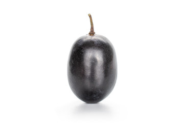 One whole fresh black grape isolated on white background