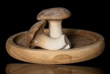 Group Of Two Whole Fresh Creamy King Trumpet Mushroom On Bamboo Plate Isolated On Black Glass