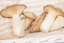Group Of Four Whole Raw Fresh Creamy King Trumpet Mushroom With Braided Rattan Behind