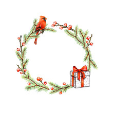 Christmas Round Frame With Cardinal Bird, Fir And Holly Berries. Winter Greeting Card