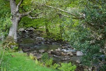 Small Stream In Snowdonia