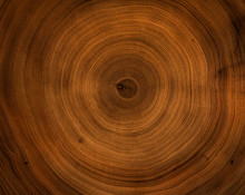 Old Wooden Mahogany Tree Cut Surface. Detailed Warm Dark Brown And Orange Tones Of A Felled Tree Trunk Or Stump. Rough Organic Texture Of Tree Rings With Close Up Of End Grain.