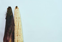 Background Corn
