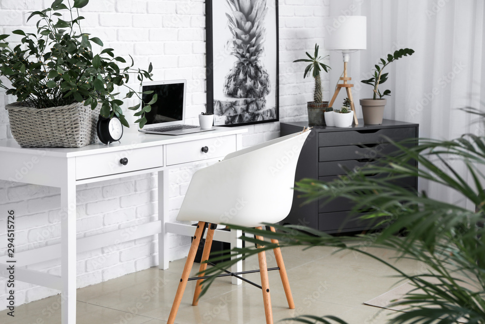 Stylish interior of room with beautiful houseplants