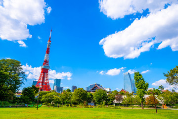 Canvas Print - 東京タワー 青空