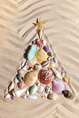 Wall Mural - Christmas tree  made from shells and corals on beach sand, flat lay ,vertical composition