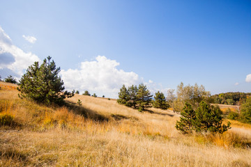 Wall Mural - countryside autumn landscape