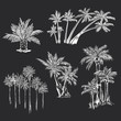 Vector Set of Silhouette Drawings of Palm Trees