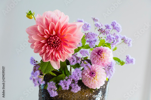 花瓶のダリアの花 Adobe Stock でこのストック画像を購入して 類似の画像をさらに検索 Adobe Stock