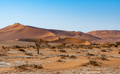 désert de sossusvlei en namibie, afrique