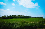 Fototapeta Tęcza - green field and blue sky
