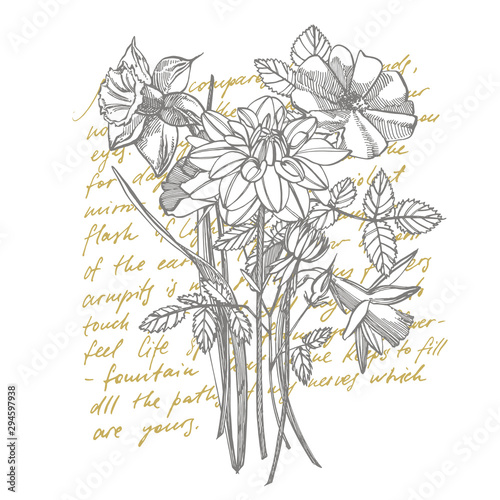 Roses and Dahlias flowers bouquet isolated on white background. Set of drawin...