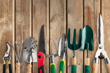 Poster - Row of gardening tools on wooden background