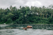 © Alena Ozerova - Woman enjoying tropical rain while swimming in infinity pool on Bali