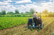 A Farmer On A Tractor Plows A Field. Vegetable Rows Of Leeks. Plowing Field. Seasonal Farm Work. Agriculture Crops. Farming, Farmland. Organic Vegetables. Weed Protection. Selective Focus