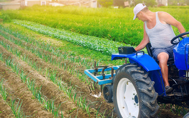 A farmer on a tractor plows a field. Vegetable rows of leeks. Plowing field. Seasonal farm work. Agriculture crops. Farming, farmland. Organic vegetables. Weed protection. Selective focus