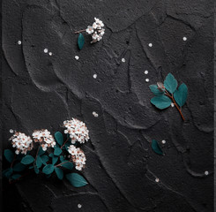 Wall Mural - Bouquet of red poppies and white Spiraea on a black background. Wild flowers.